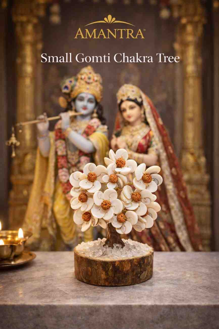 Amantra Gomti Chakra Small Tree
