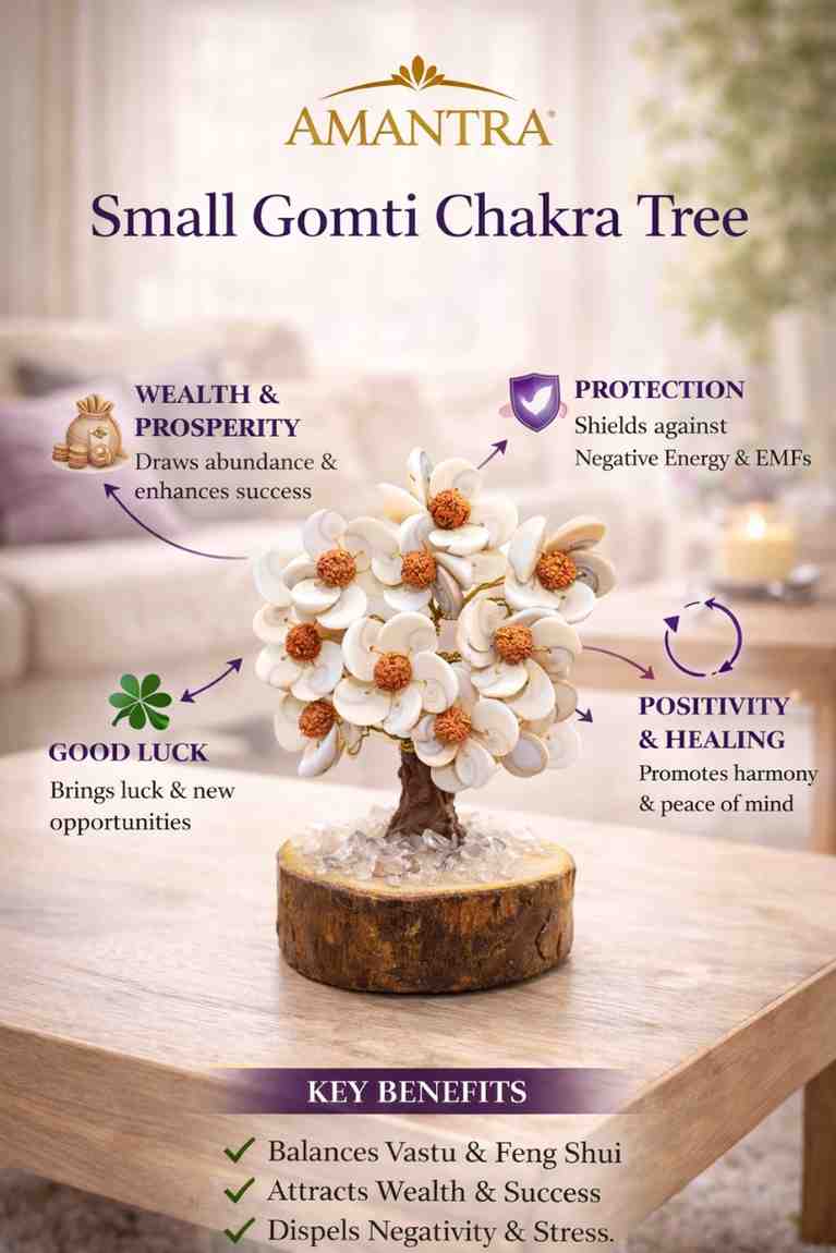 Amantra Gomti Chakra Small Tree